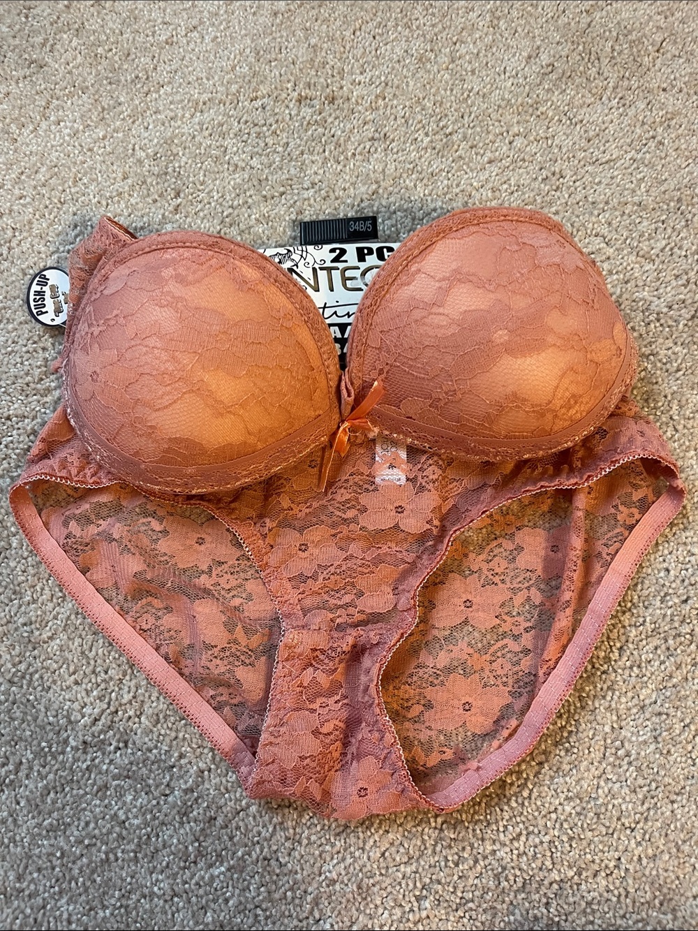 Inteco Lace Push-Up Bra and Lace Bikini Set in Mauve Pink